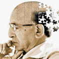 alzheimers puzzle alzheimers